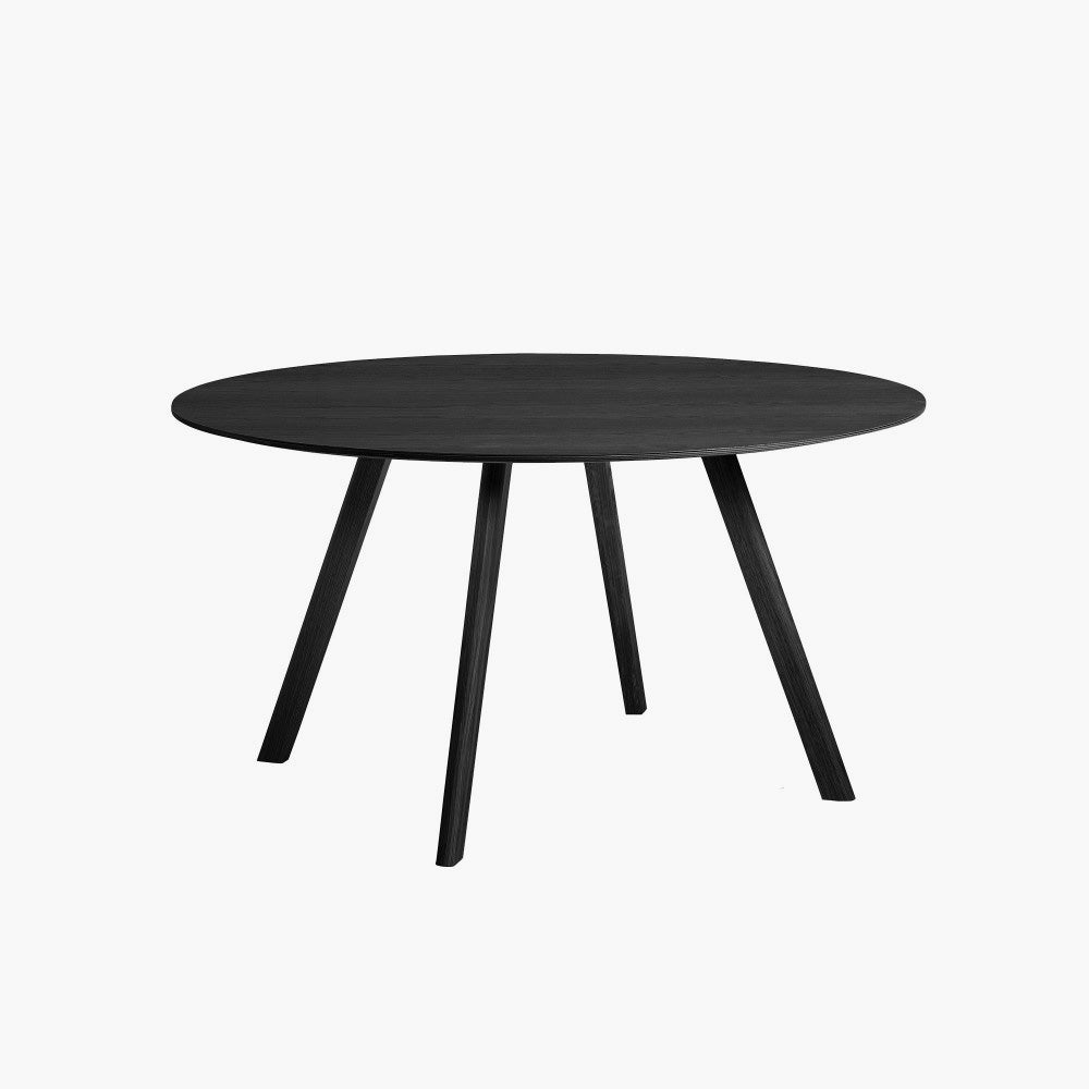 CPH25 Round Table